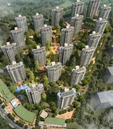 2020專(zhuān)利信息匯總